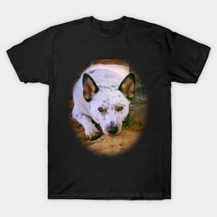 Healer Dog - Pete T-Shirt